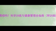 拉布拉多能爬楼吗科学训练与健康管理全指南附训练视频教程