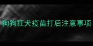 狗狗狂犬疫苗打后注意事项