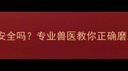 两个月大幼犬啃猪蹄骨安全吗专业兽医教你正确磨牙训练与风险规避指南