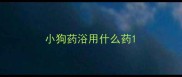 小狗药浴用什么药