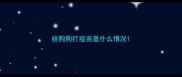 给狗狗打疫苗是什么情况