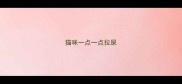 猫咪一点一点拉屎