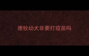 德牧幼犬非要打疫苗吗