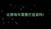 比熊每年需要打疫苗吗