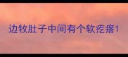 边牧肚子中间有个软疙瘩