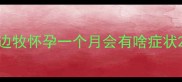 边牧怀孕一个月会有啥症状