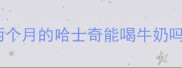 两个月的哈士奇能喝牛奶吗