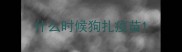 什么时候狗扎疫苗