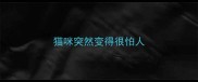 猫咪突然变得很怕人