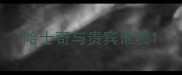 哈士奇与贵宾谁贵