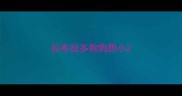 拉布拉多狗狗胆小