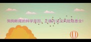 狗狗断尾的科学原因正确方法及风险隐患全