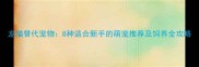 龙猫替代宠物8种适合新手的萌宠推荐及饲养全攻略