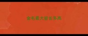 金毛最大能长多高