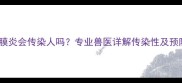 猫咪腹膜炎会传染人吗专业兽医详解传染性及预防措施