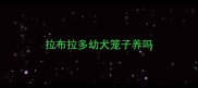 拉布拉多幼犬笼子养吗