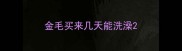 金毛买来几天能洗澡