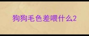 狗狗毛色差喂什么