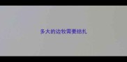 多大的边牧需要结扎