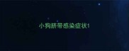 小狗脐带感染症状