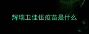 辉瑞卫佳伍疫苗是什么