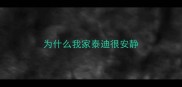 为什么我家泰迪很安静