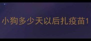 小狗多少天以后扎疫苗