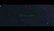 哈士奇公几岁配种