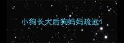 小狗长大后狗妈妈疏远