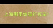 上海哪里给猫打疫苗