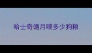 哈士奇俩月喂多少狗粮