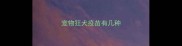 宠物狂犬疫苗有几种