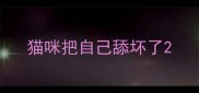 猫咪把自己舔坏了