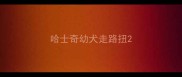 哈士奇幼犬走路扭