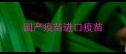 国产疫苗进口疫苗