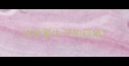 边牧要生产的现象