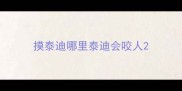 摸泰迪哪里泰迪会咬人