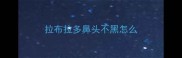 拉布拉多鼻头不黑怎么