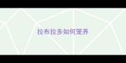 拉布拉多如何笼养