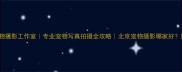 北京580宠物摄影工作室专业宠物写真拍摄全攻略北京宠物摄影哪家好附避坑指南
