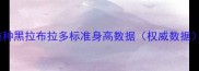 纯种黑拉布拉多标准身高数据权威数据