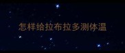 怎样给拉布拉多测体温