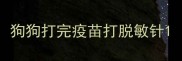 狗狗打完疫苗打脱敏针