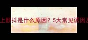 猫咪尾巴向上颤抖是什么原因5大常见诱因及应对措施