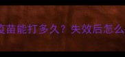 狗狗疫苗全攻略疫苗能打多久失效后怎么办附超全接种指南