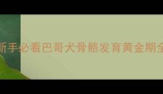 新手必看巴哥犬骨骼发育黄金期全