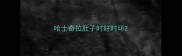 哈士奇拉肚子时好时坏