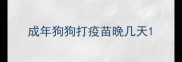 成年狗狗打疫苗晚几天