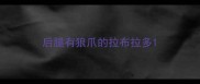 后腿有狼爪的拉布拉多