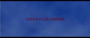 边牧适合什么进口品牌狗粮